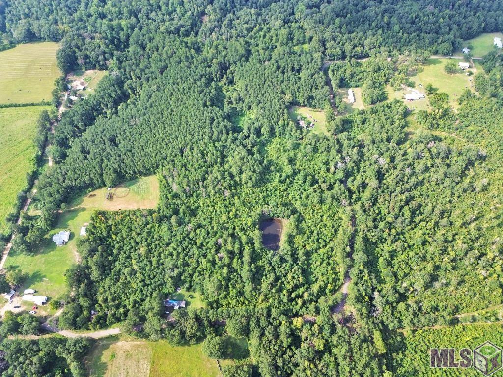 2 Roscoe Dillon Road Franklinton, LA 70438 - Photo 2 of 25 Gallery Image 2