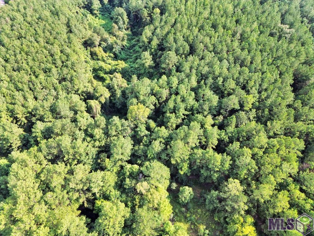 2 Roscoe Dillon Road Franklinton, LA 70438 - Photo 23 of 25 Gallery Image 23