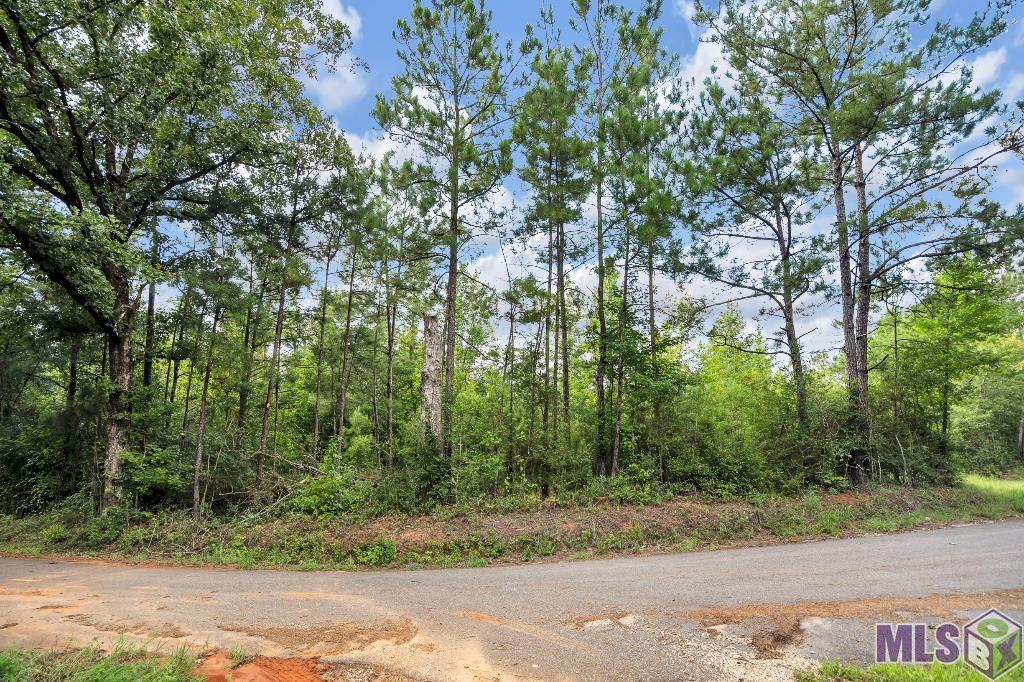 2 Roscoe Dillon Road Franklinton, LA 70438 - Photo 24 of 25 Gallery Image 24