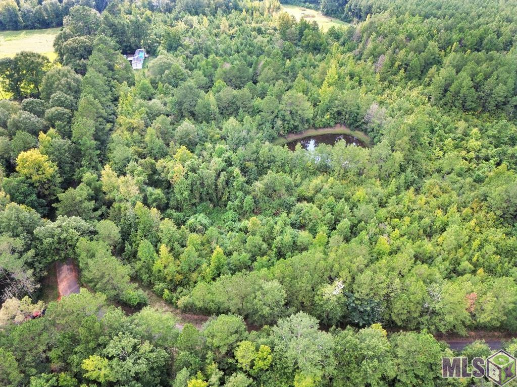 2 Roscoe Dillon Road Franklinton, LA 70438 - Photo 5 of 25 Gallery Image 5
