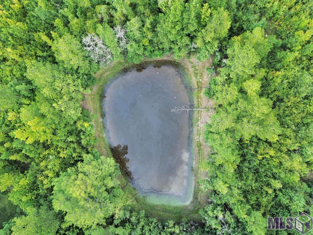 2 Roscoe Dillon Road Franklinton, LA 70438 - Photo 7 of 25 Gallery Image 7