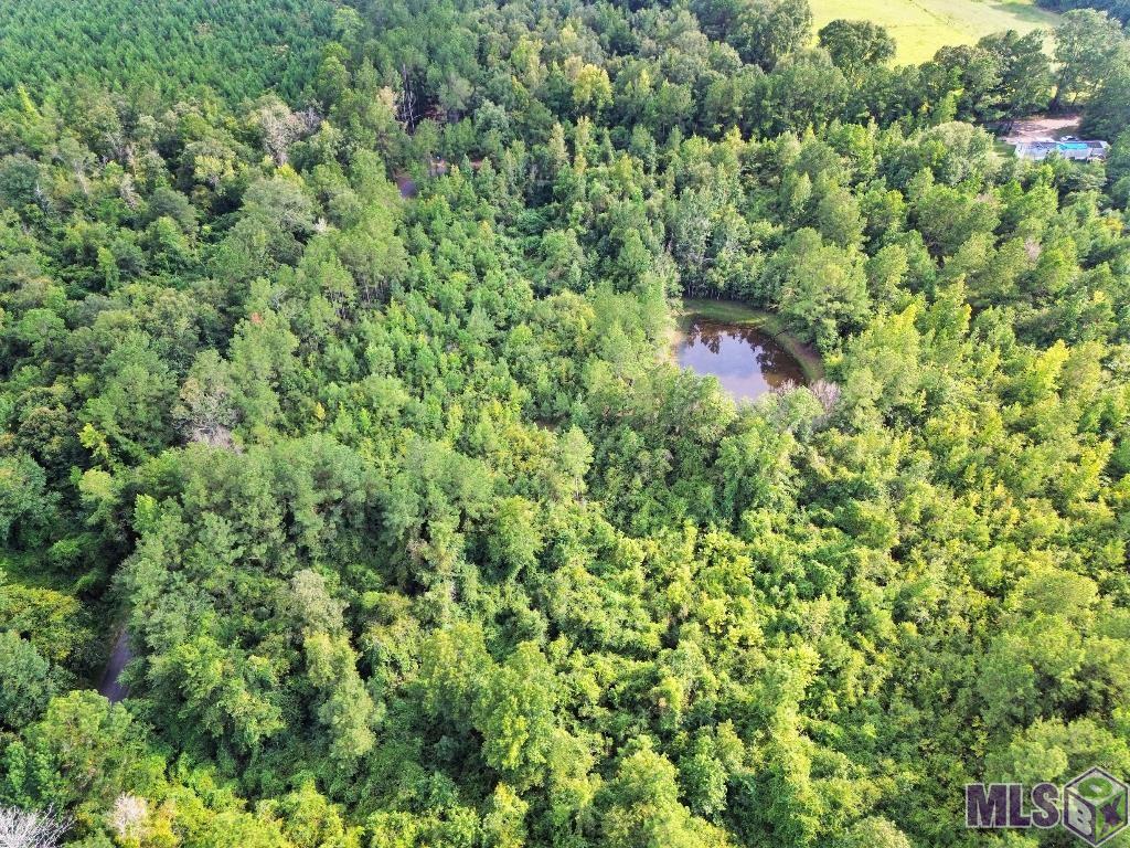 2 Roscoe Dillon Road Franklinton, LA 70438 - Photo 9 of 25 Gallery Image 9