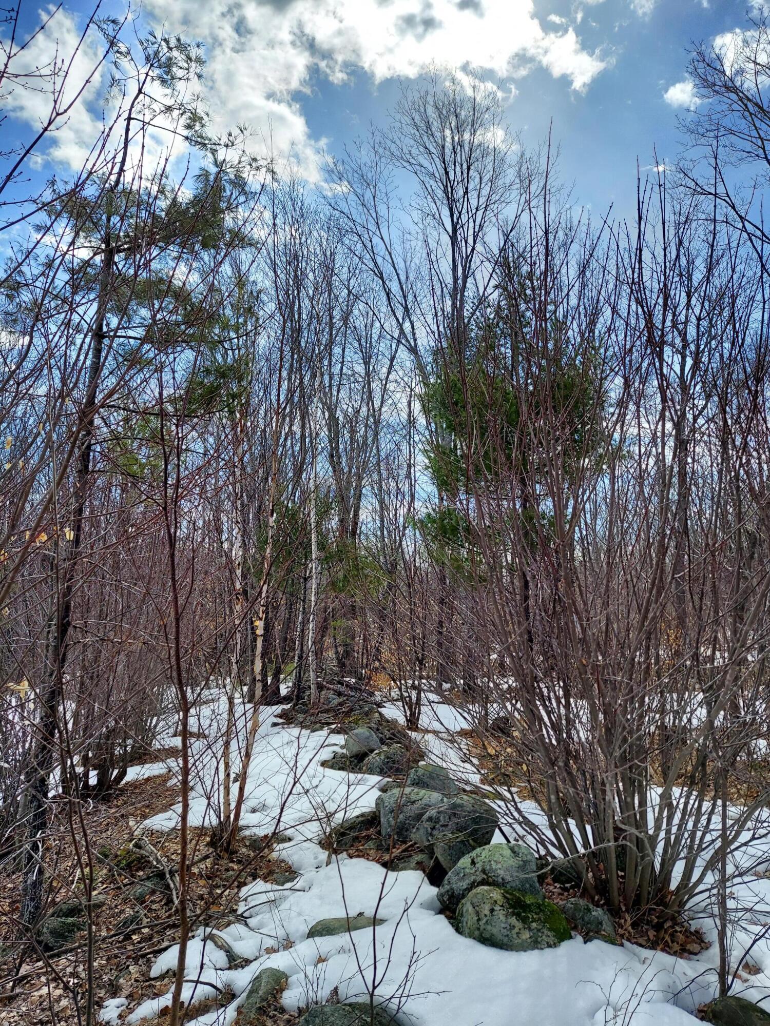 0 South Town Farm Road Oxford, ME 04270 - Photo 1 of 5 DC1