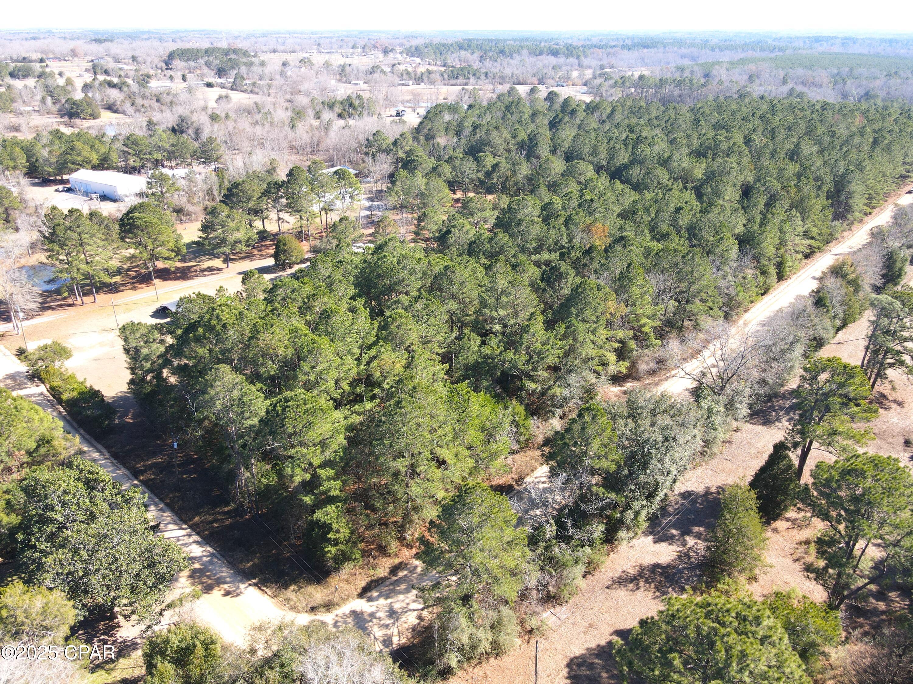 0 Moss Road Bonifay, FL 32425 - Photo 7 of 12 Gallery Image 7