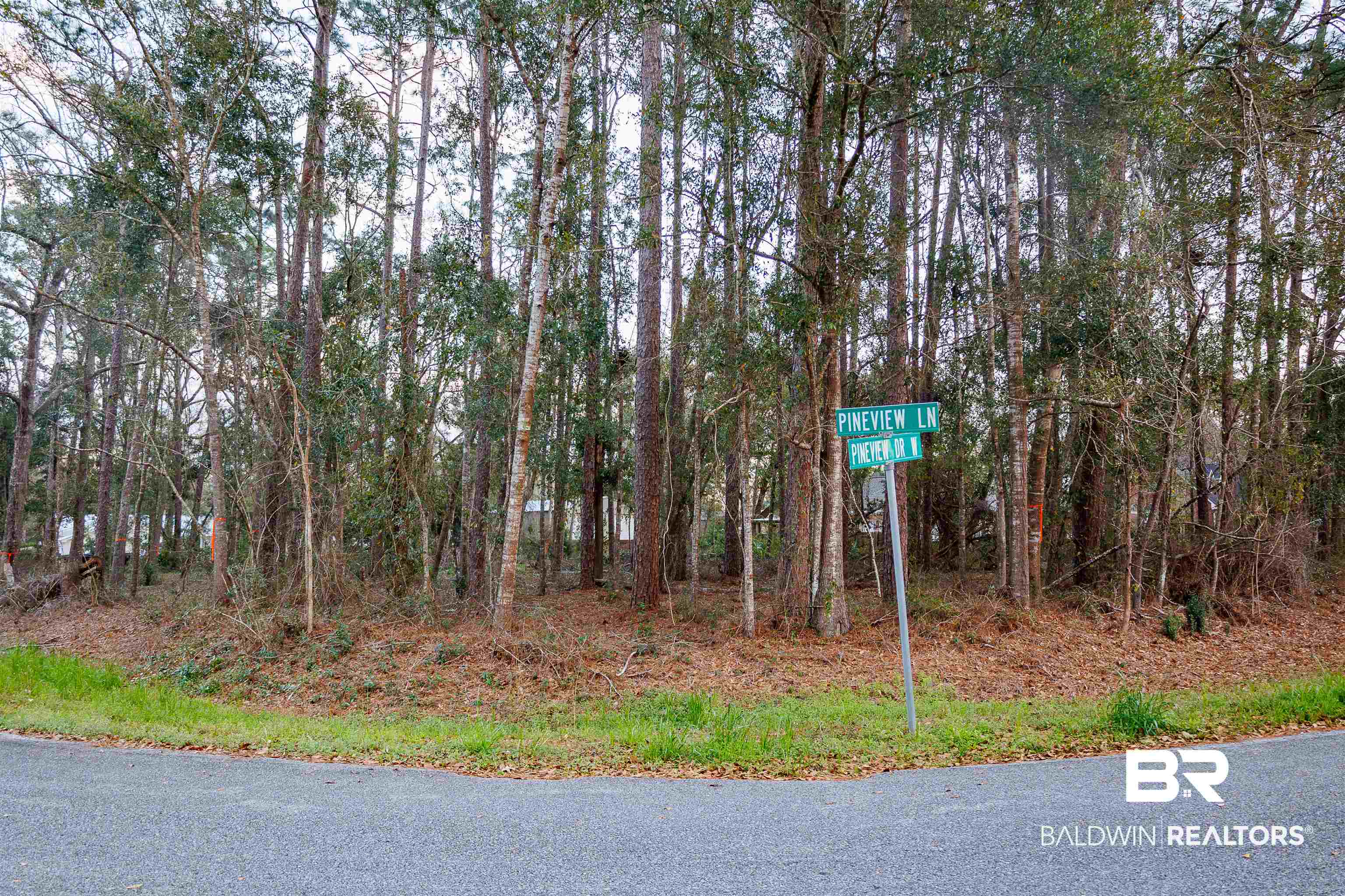 22622 Pineview Lane Foley, AL 36535 - Photo 5 of 11