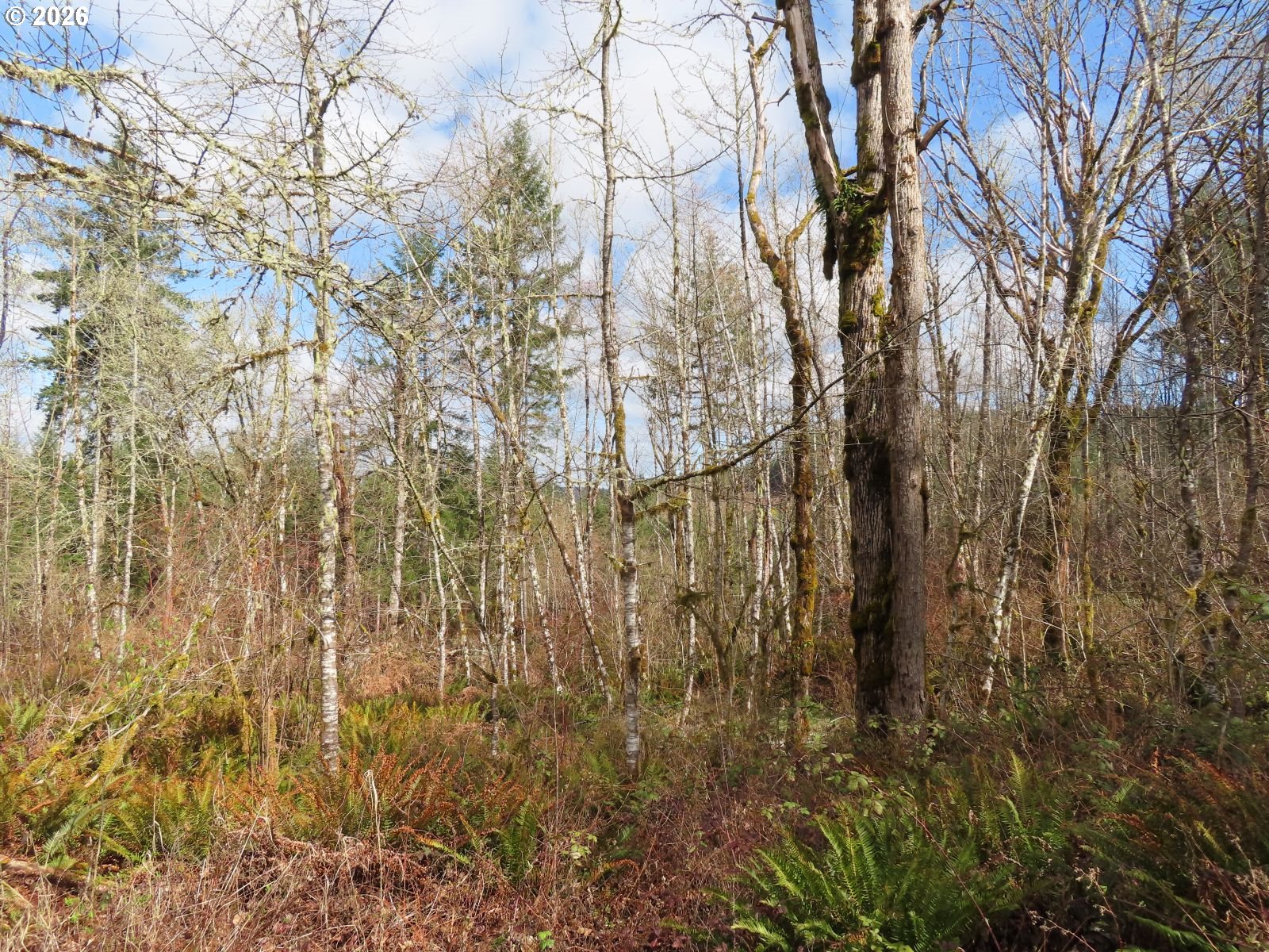 125 Oppelt Road Chehalis, WA 98532 - Photo 2 of 19