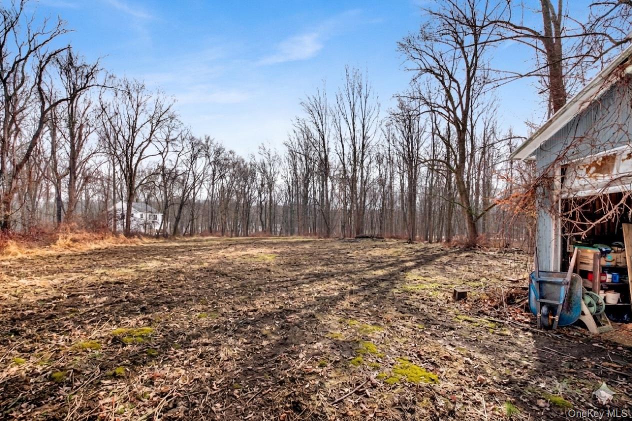 17 Last Road Middletown, NY 10941 - Photo 22 of 23 a view of a yard with a tree