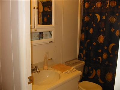 Guest bathroom.
