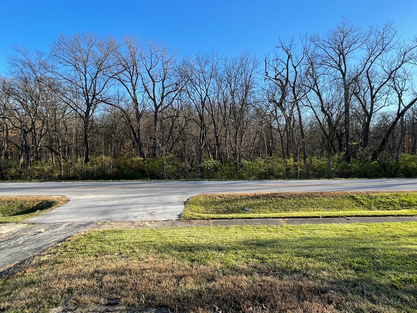 186 Monee Road Park Forest, IL 60466 - Photo 4 of 13 a view of a swimming pool with a yard