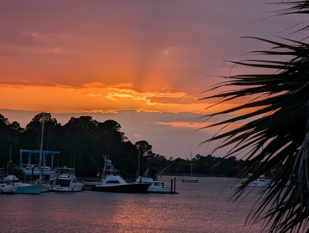 200 Ante Beppum Loop Carrabelle, FL 32322 - Photo 5 of 7