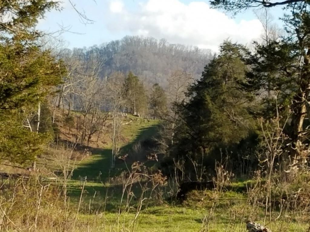 Tbd Tbd Rob Camp Road Tazewell, TN 37879 - Photo 14 of 36 Photo 14
