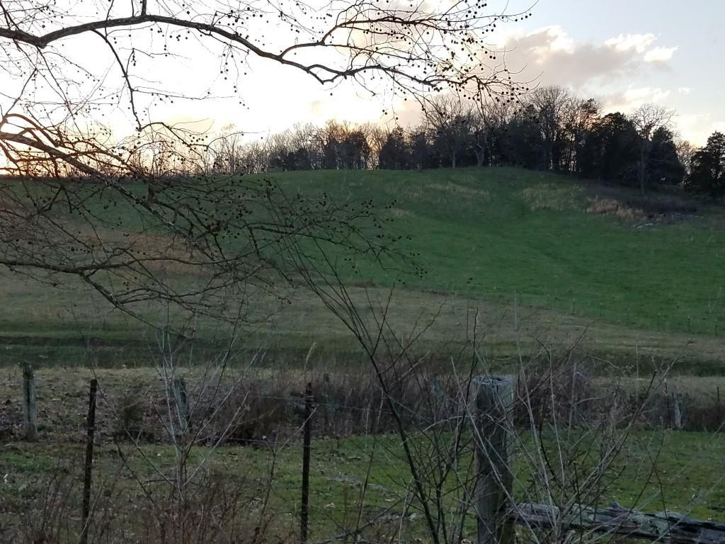 Tbd Tbd Rob Camp Road Tazewell, TN 37879 - Photo 30 of 36 Photo 30