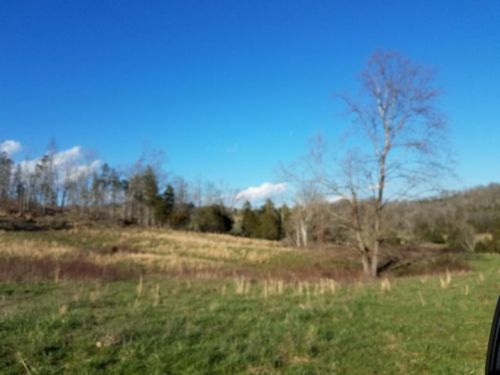 Tbd Tbd Rob Camp Road Tazewell, TN 37879 - Photo 33 of 36 Photo 33