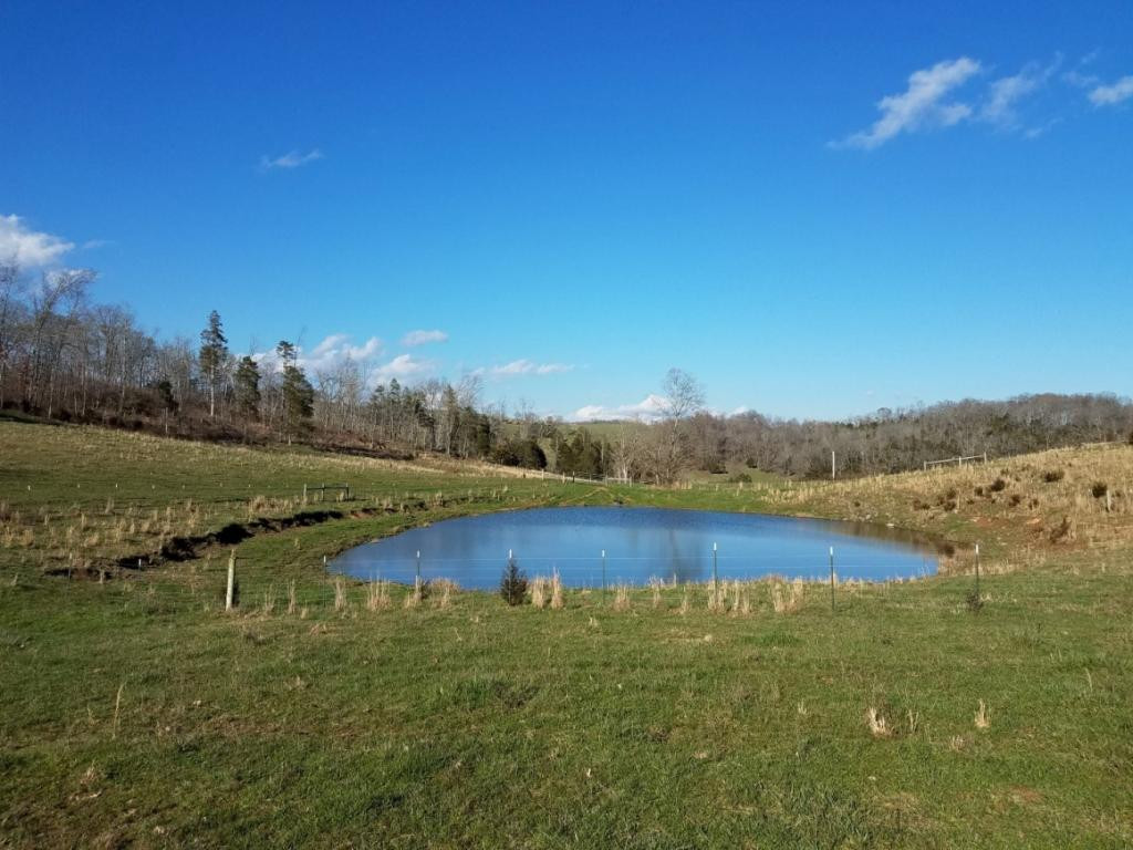 Tbd Tbd Rob Camp Road Tazewell, TN 37879 - Photo 8 of 36 Photo 8