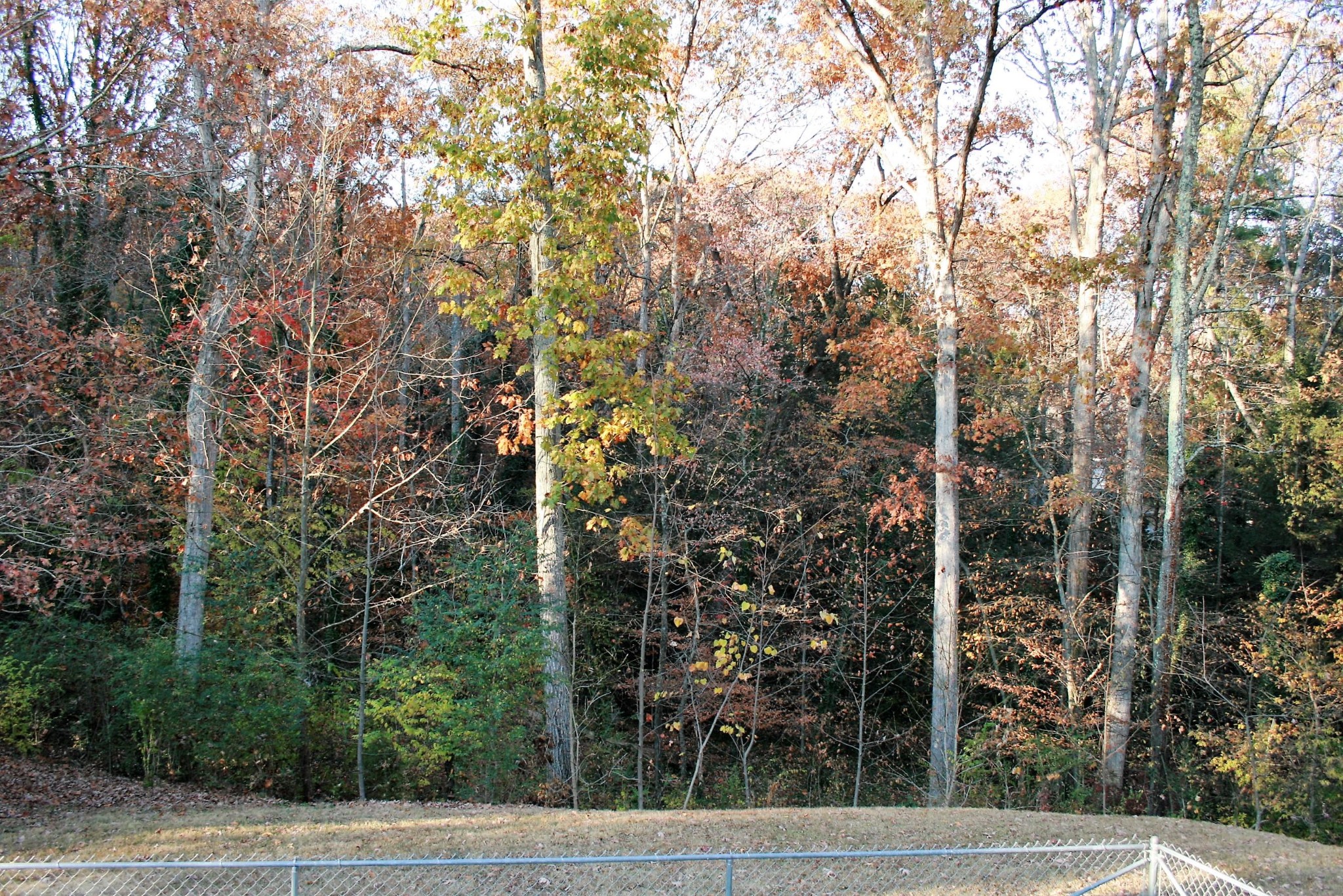 317 East Fernhill Lane Oak Ridge, TN 37830 - Photo 19 of 37 Gallery Image 19