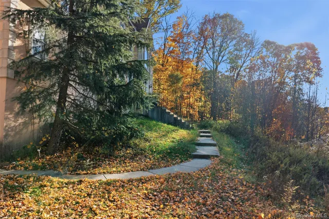 a view of a yard with plants and trees