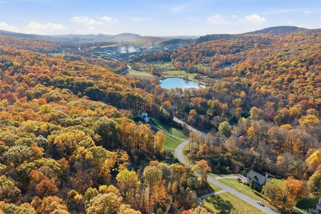 a view of a yard with an trees