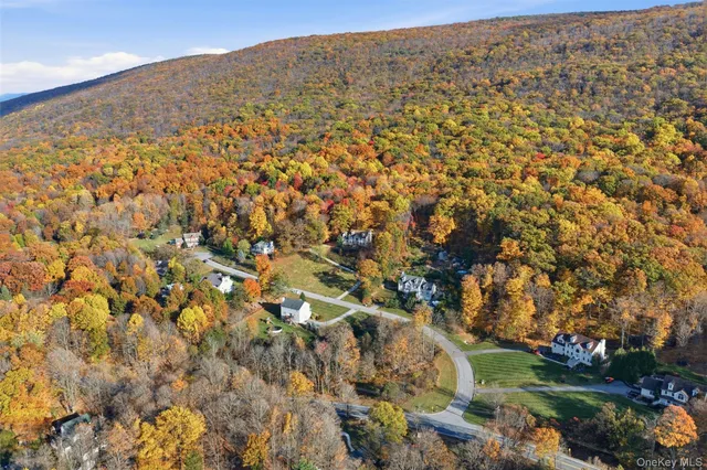 a view of a yard with plants and wooden fence