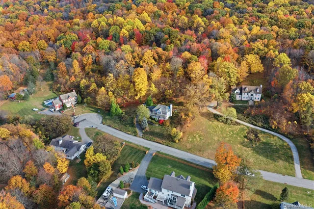 view of a tree with a yard
