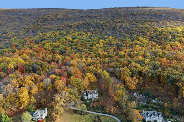 a view of a yard with plants