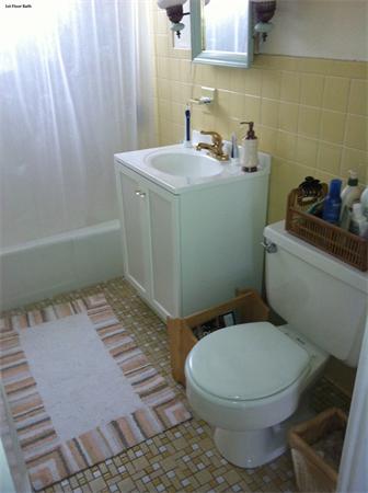 3 Leslie Road Belmont, MA 02478 - Photo 3 of 18 Gallery Image 3