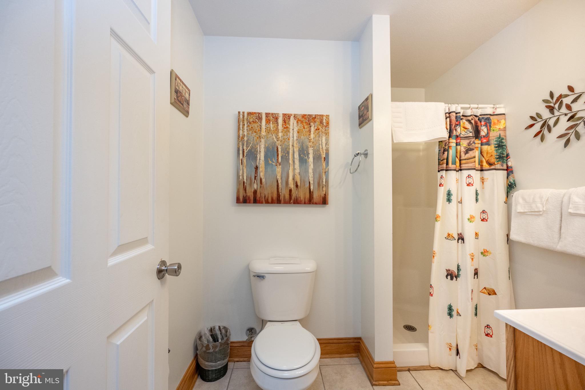 59 Glen Cove Road Swanton, MD 21561 - Photo 27 of 86 Gallery Image 27