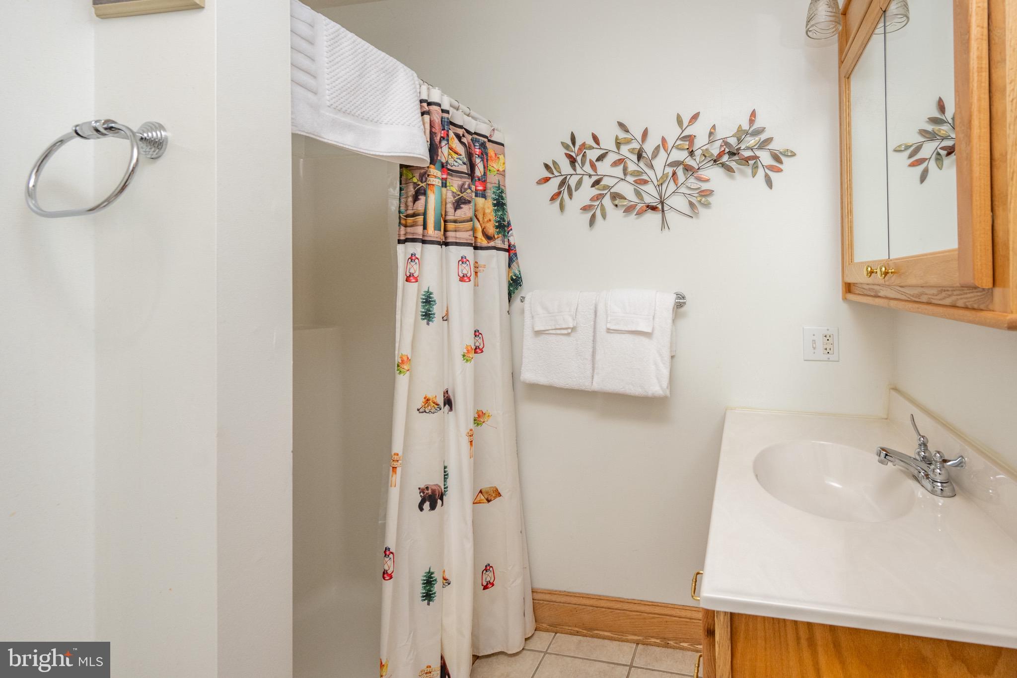59 Glen Cove Road Swanton, MD 21561 - Photo 28 of 86 Gallery Image 28