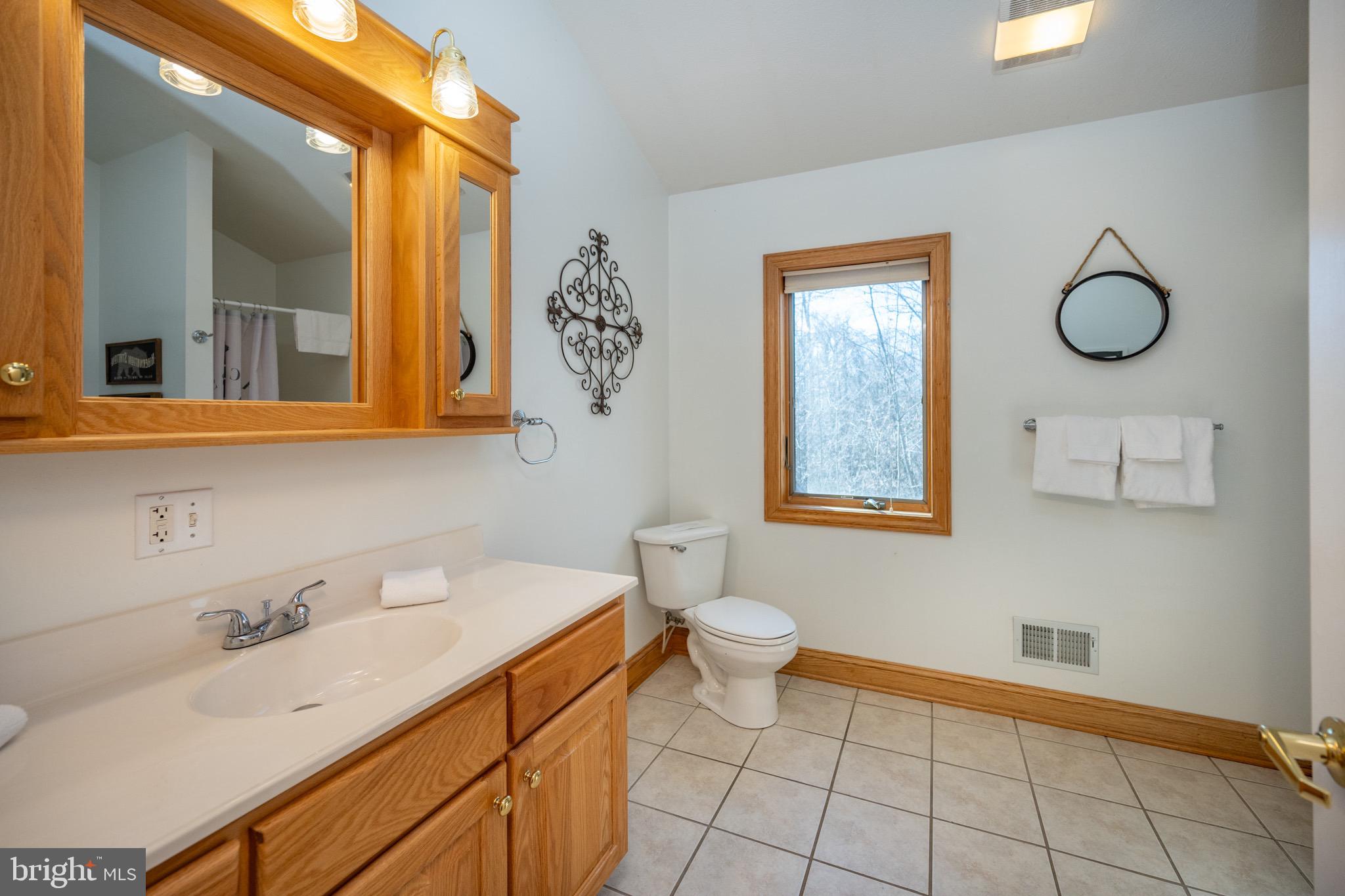 59 Glen Cove Road Swanton, MD 21561 - Photo 39 of 86 Gallery Image 39