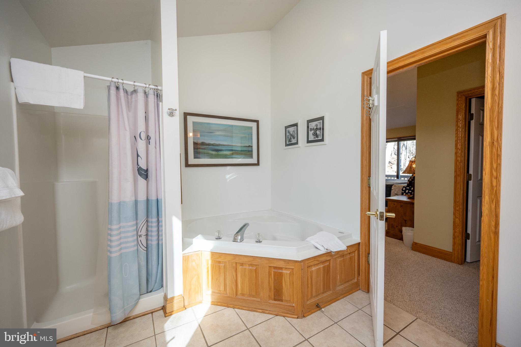 59 Glen Cove Road Swanton, MD 21561 - Photo 40 of 86 Gallery Image 40