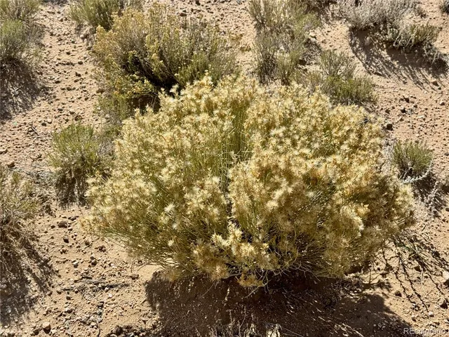 $6,000 | Lot 7 County X Road, Blanca, CO 81123