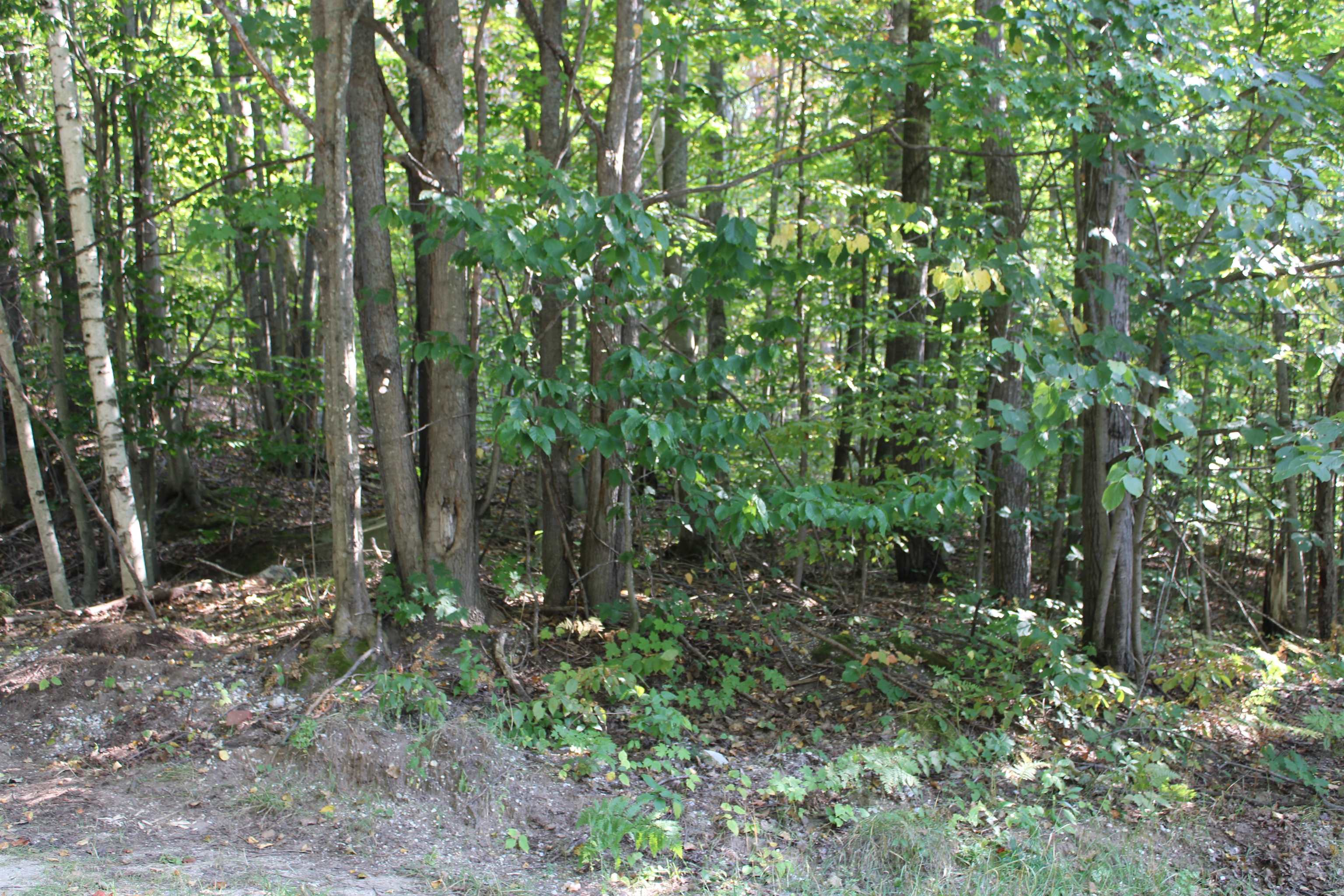 Sunburry Road Kalkaska, MI 49646 - Photo 1 of 19 Gallery Image 1