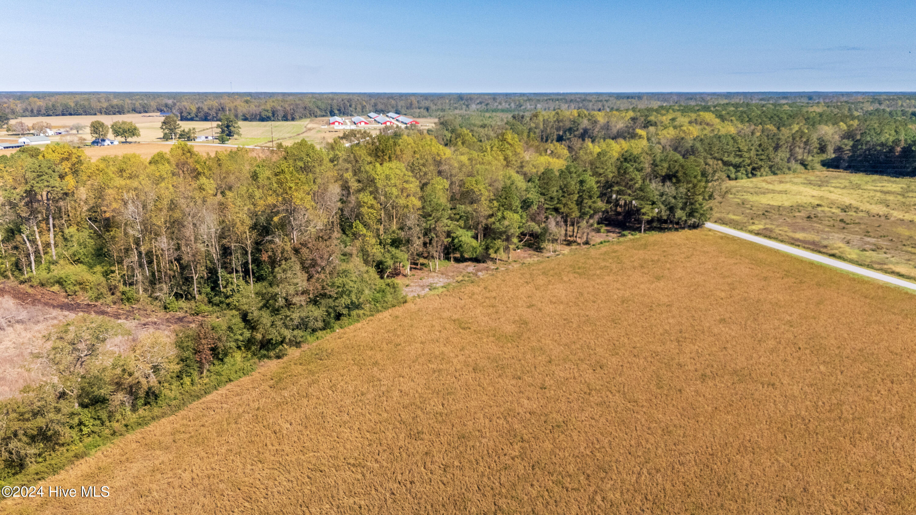 205 Cedar Fork Road Beulaville, NC 28518 - Photo 4 of 19 4