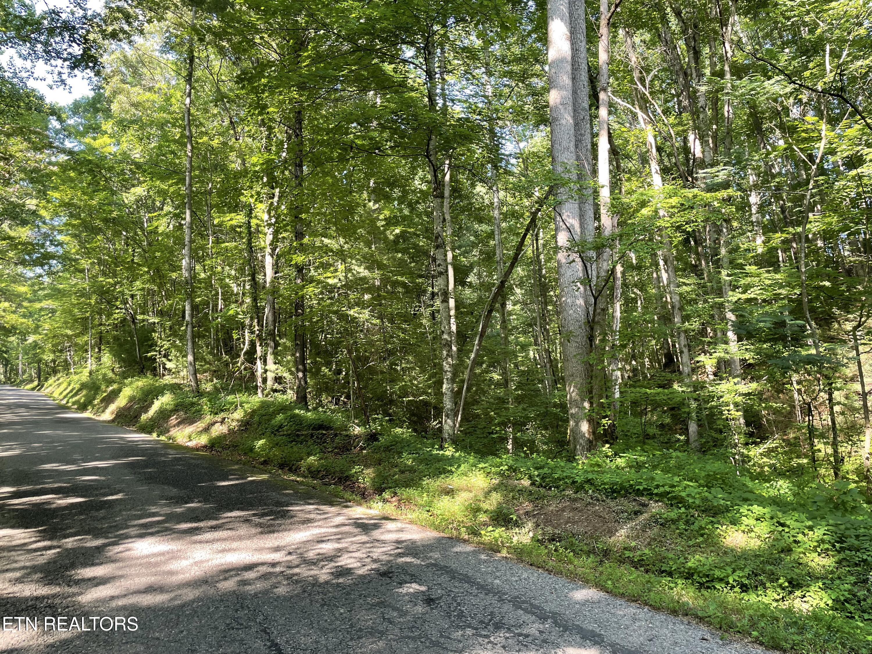 Creek Road Tellico Plains, TN 37385 - Photo 13 of 14 IMG_5125
