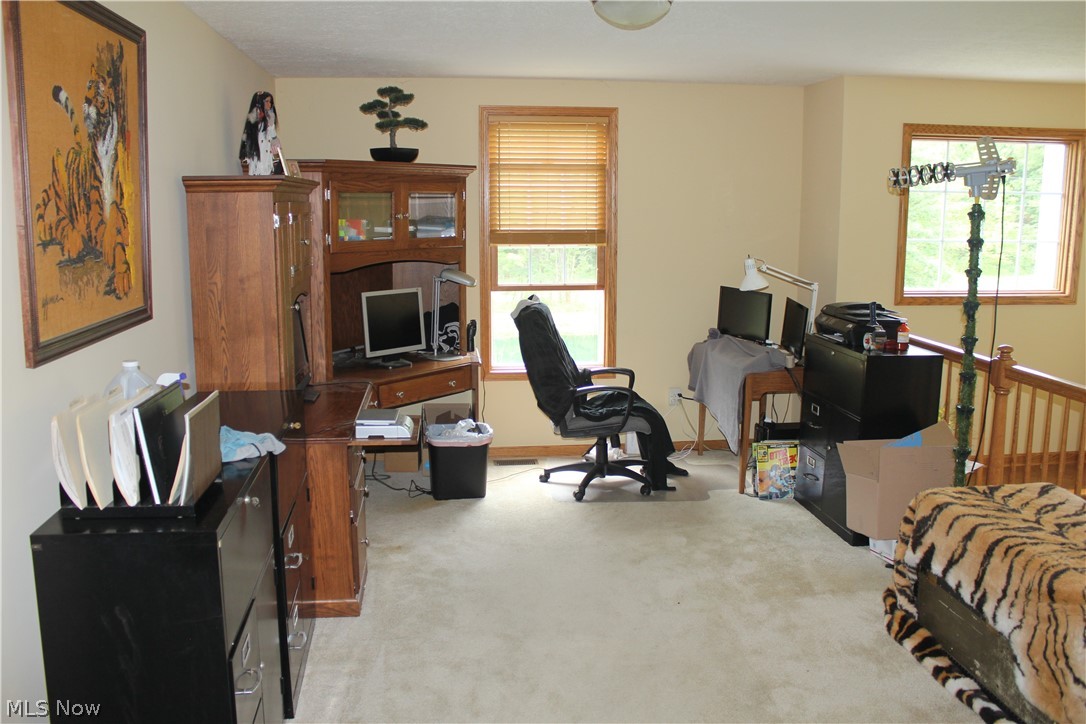 6689 Ballash Road Medina, OH 44256 - Photo 13 of 30 Second loft area