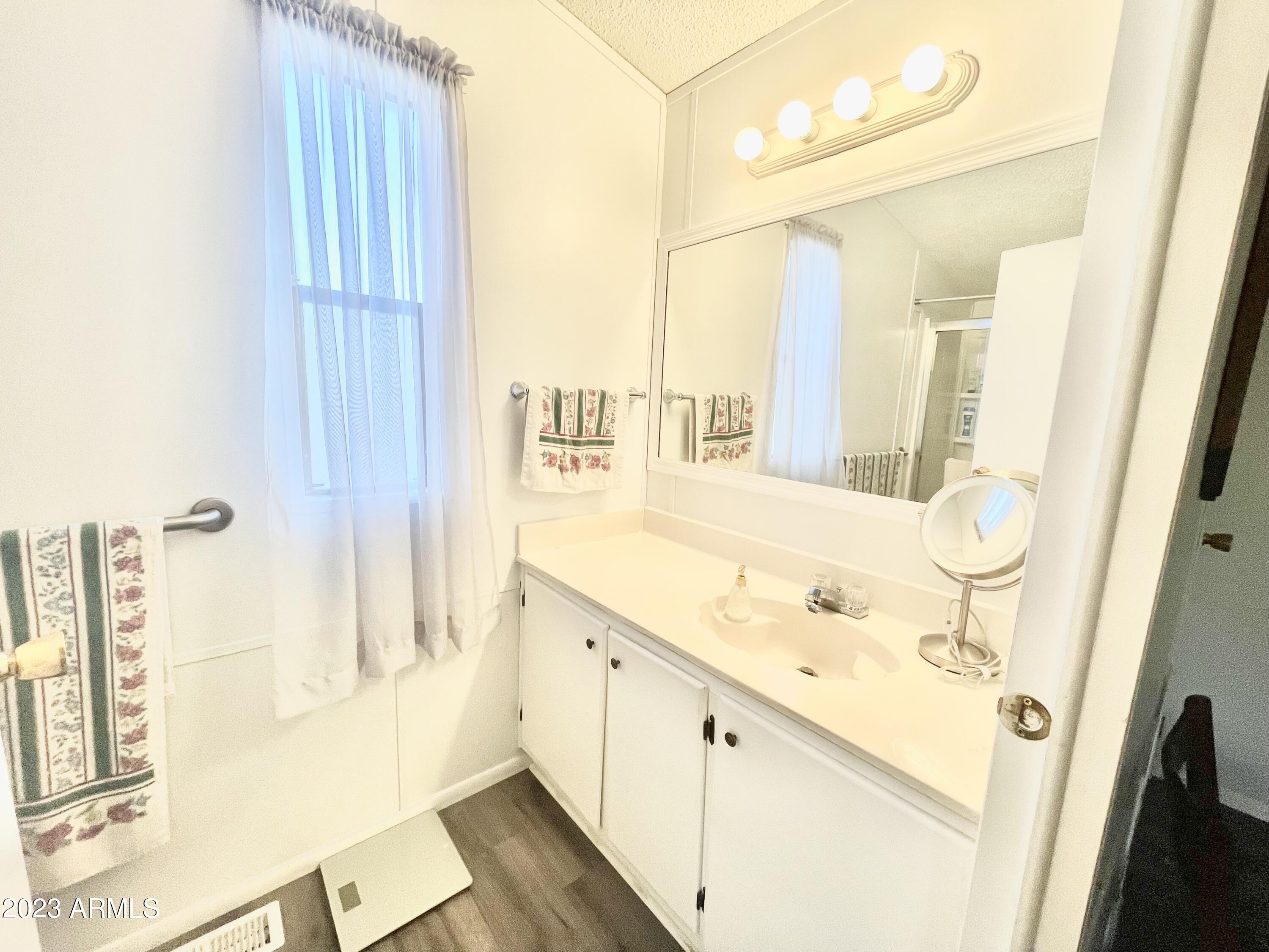 652 South Ellsworth Road, Unit 3 Mesa, AZ 85208 - Photo 11 of 29 3PRIMARYBATH