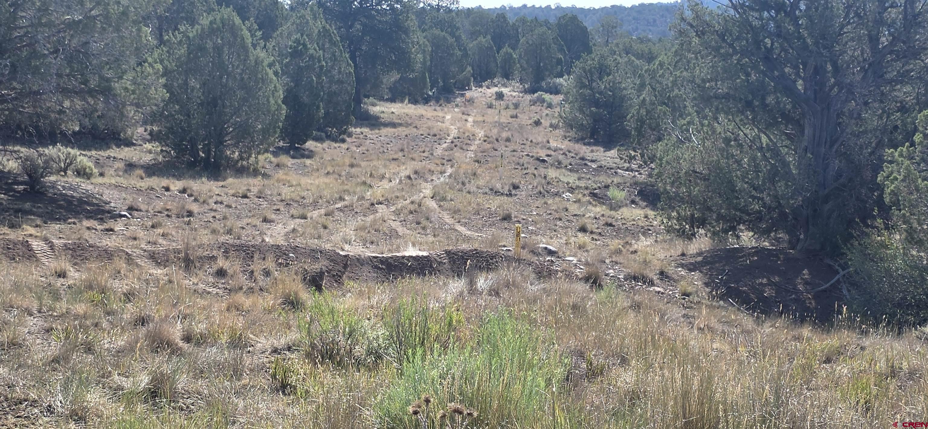 310 Ignacio Co 81137 Ignacio, CO 81137 - Photo 21 of 25