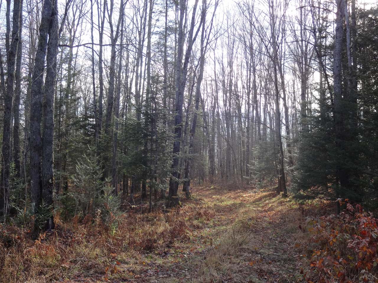 On On Swan Road Crystal Falls, MI 49920 - Photo 3 of 4 Gallery Image 3