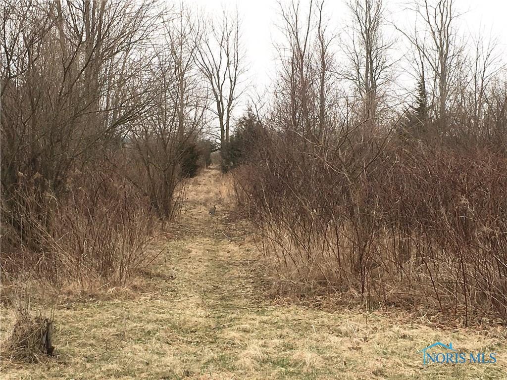 9509 Bays Road Cygnet, OH 43413 - Photo 19 of 24 ...down our private trail!