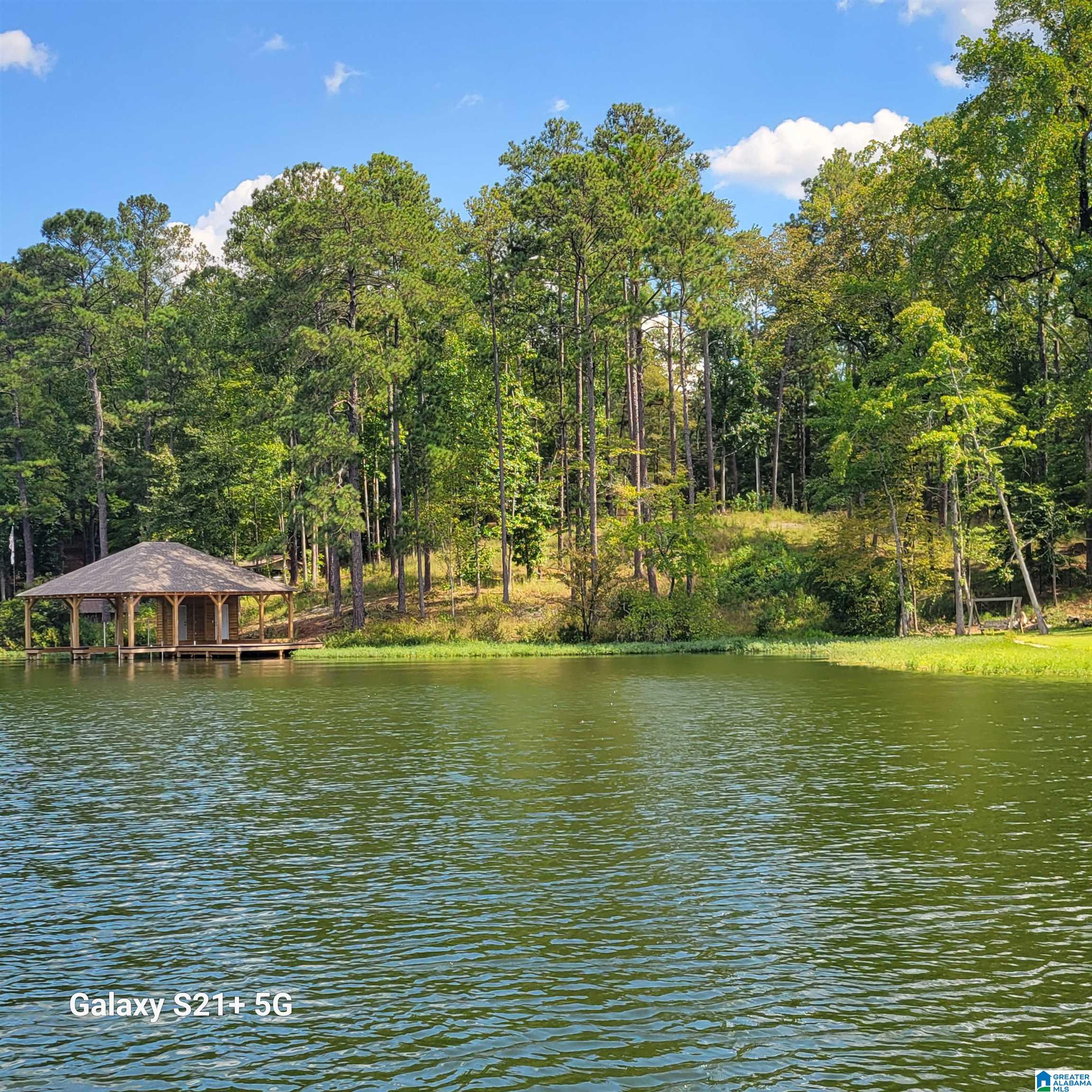 1830 Mimosa Point Road, Unit 5 Rockford, AL 35136 - Photo 24 of 25