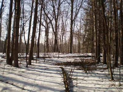 0 Stanley Flushing, MI 48433 - Photo 4 of 6 20303175-3.JPG