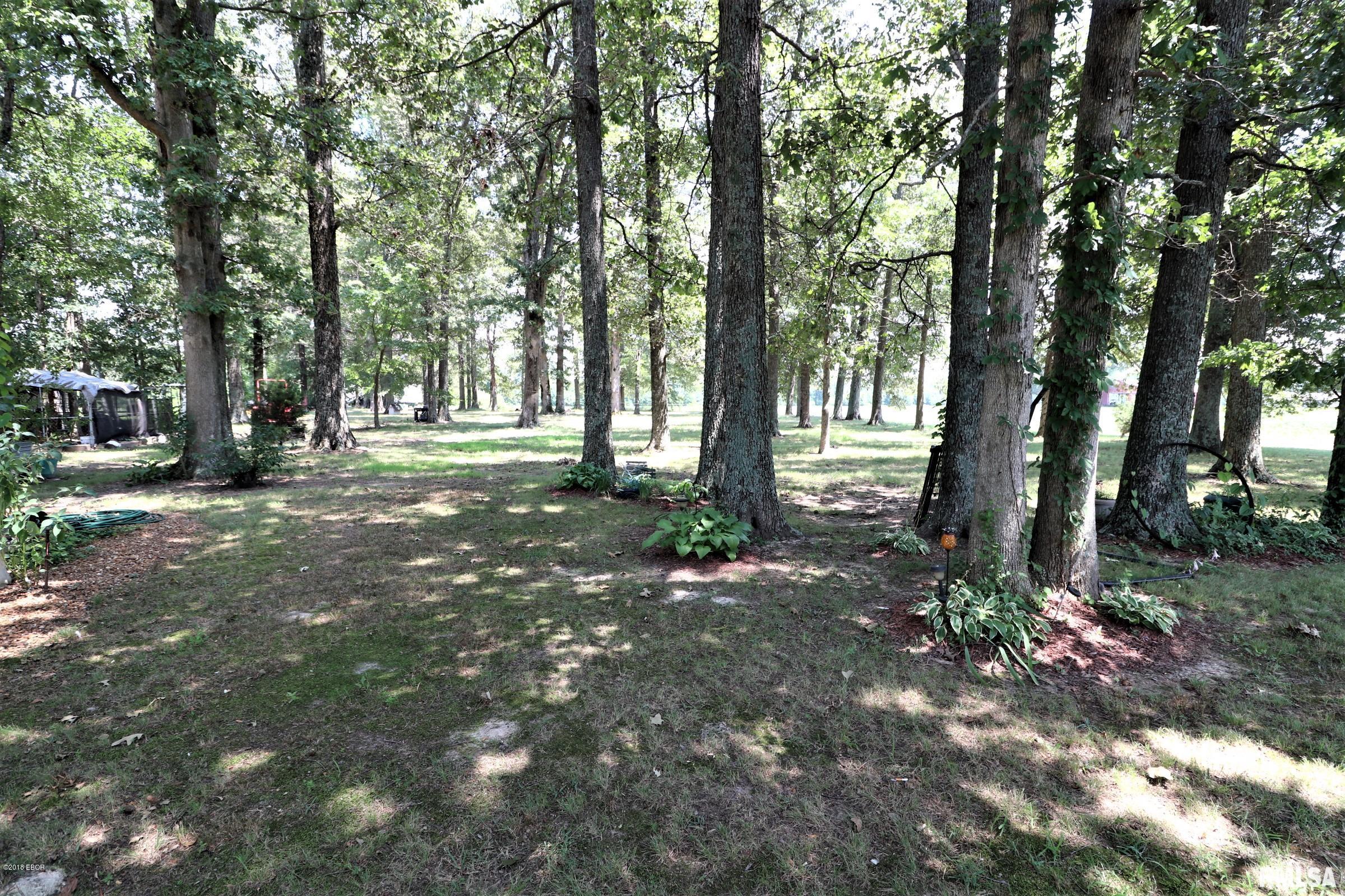 6985 South US 45 Road Brookport, IL 62910 - Photo 27 of 32 Gallery Image 27