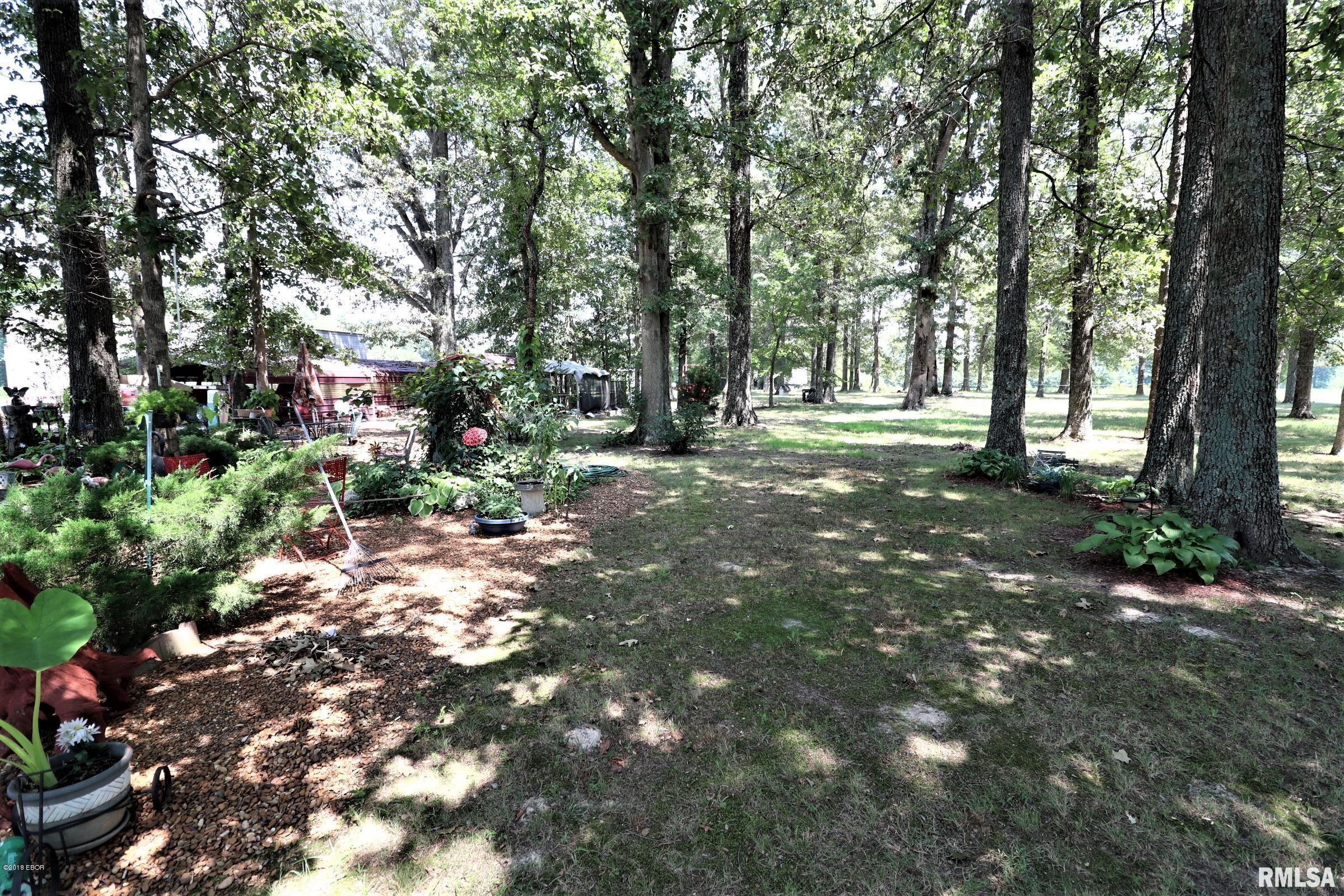 6985 South US 45 Road Brookport, IL 62910 - Photo 28 of 32 Gallery Image 28