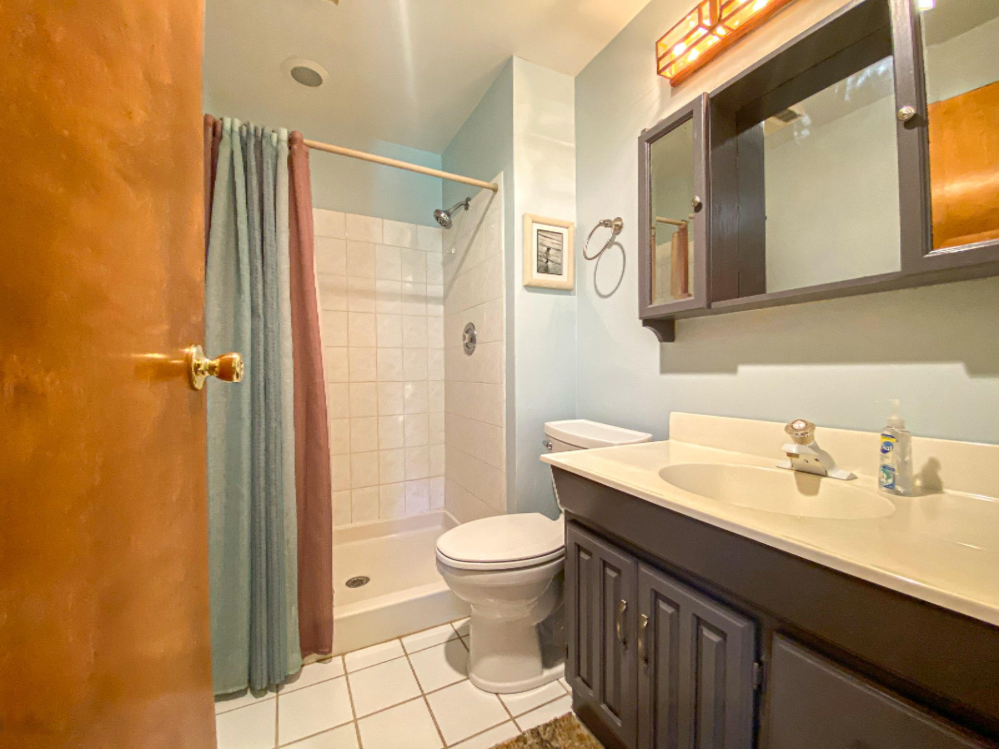 45629 Eleanor Drive Decatur, MI 49045 - Photo 19 of 28 Bathroom