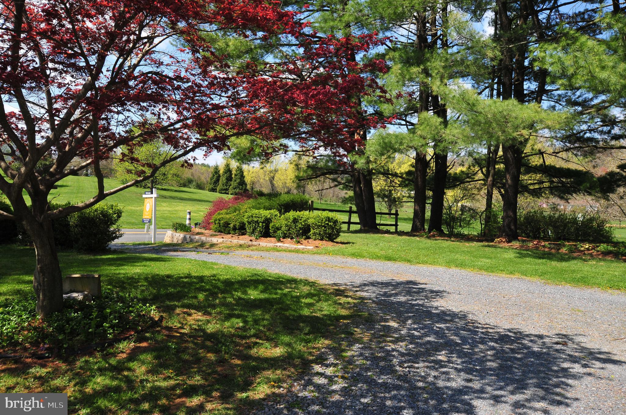 384 Perry Road Winchester, VA 22602 - Photo 60 of 61 a view of a park with large trees