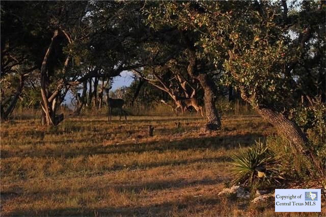 1121 Right Fork Bulverde, TX 78163 - Photo 1 of 1 a view of backyard