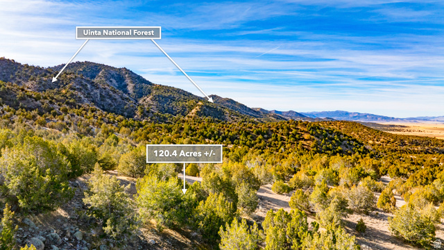 0 County Road 28 Levan, UT 84639 - Photo 8 of 207