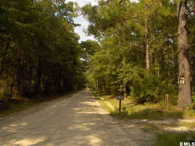96 Twickenham Road Yemassee, SC 29945 - Photo 1 of 5 Primary Photo