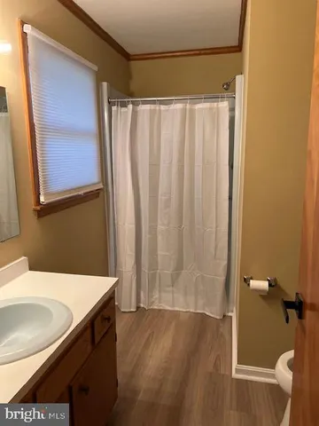 a bathroom with a sink and a shower curtain