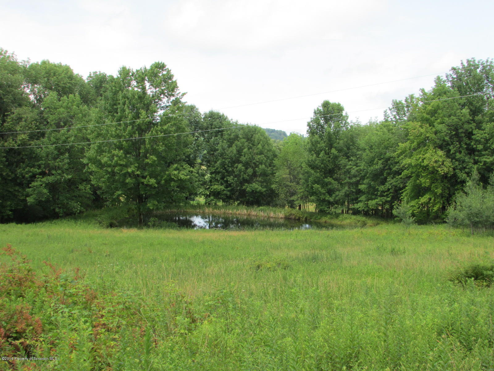 Ebbs Corner Road Hallstead, PA 18822 - Photo 1 of 10 Pond