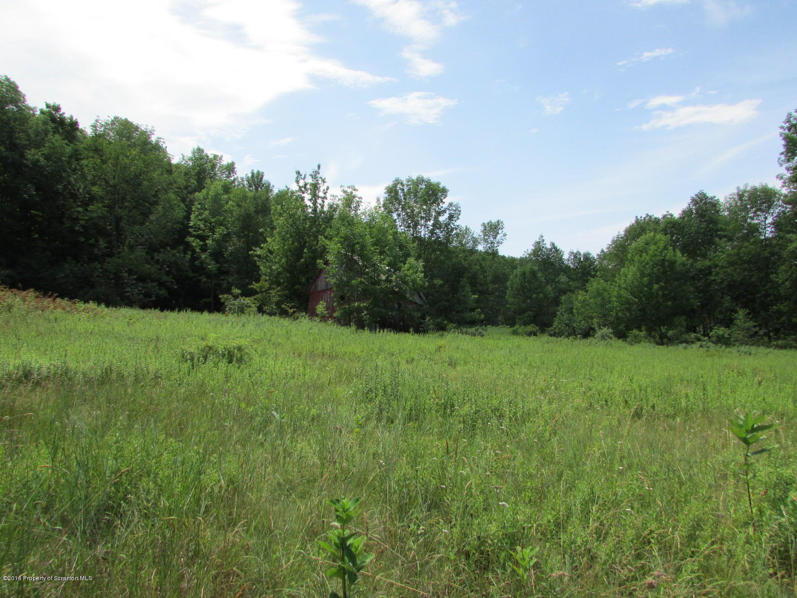 Ebbs Corner Road Hallstead, PA 18822 - Photo 7 of 10 Fields
